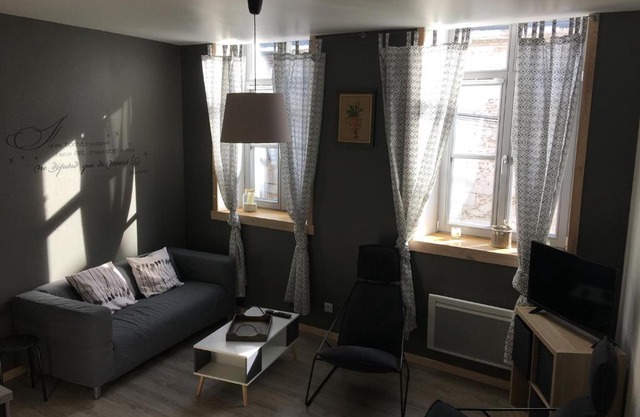 Appartement impeccable en centre ville
