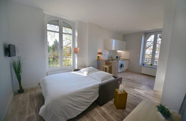 Appartement Les Suites Du Parc - Studio Lumière