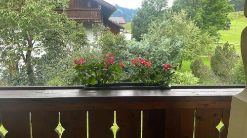 Appartments Krone