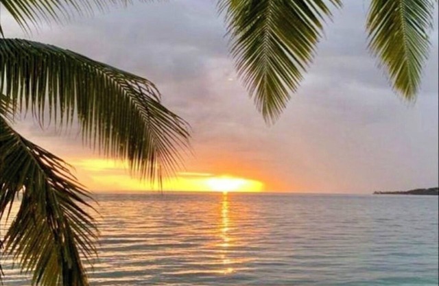 Are you a sunsets lover? nMake your best memories of Curacao with us!