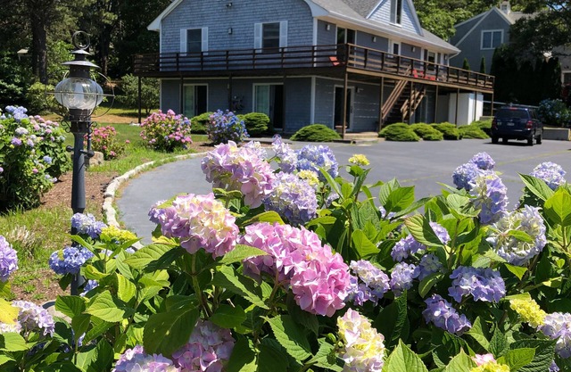 Aren't you thinking about summer right now? Warm days and cool nights available!