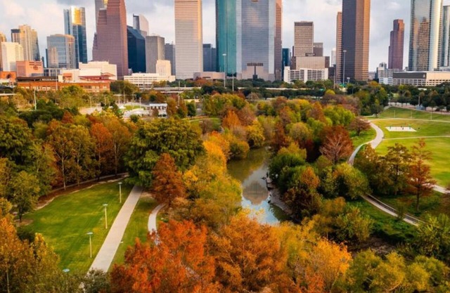 Art Deco themed - Centrally located, Newly Built Home - 3BR - Houston, TX