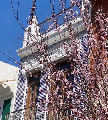 Artisan Haven: El Cabanyal Oasis