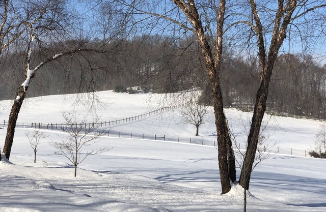 Artist Retreat with beautiful views to photograph or paint or just to relax.