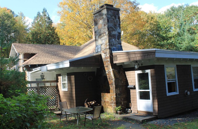 Artsy, Pet-Friendly Studio with a Forest in the backyard