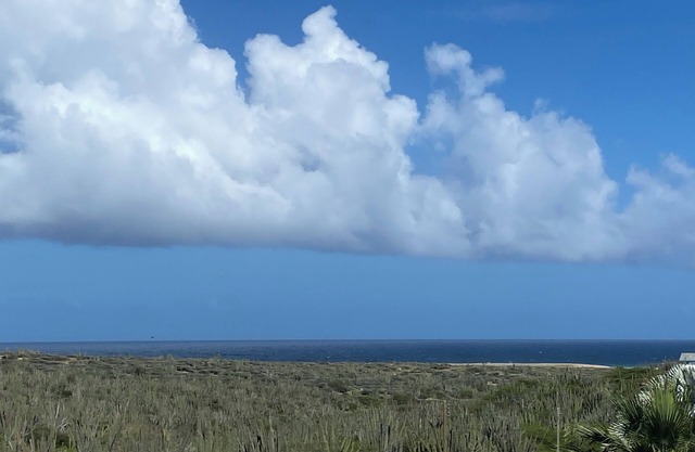 Aruba Pure Villa 3BR 3BA Rooftop Ocean Views