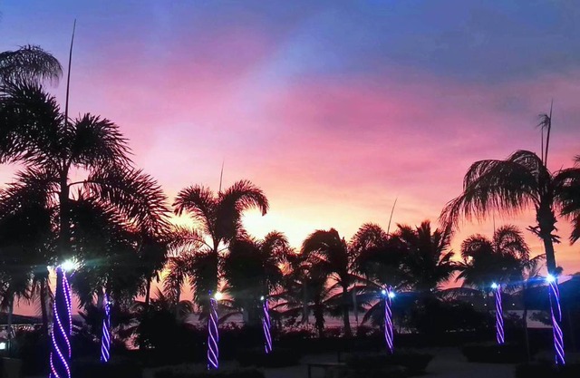 Aruba Surfside Marina