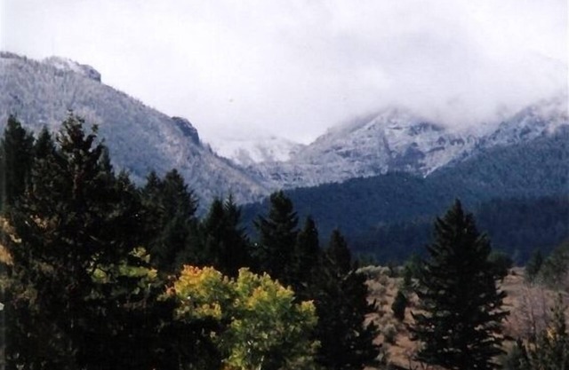 Aspen Cabin Near Yellowstone - Horse Rides, Zip Lining, Rafting, Hiking