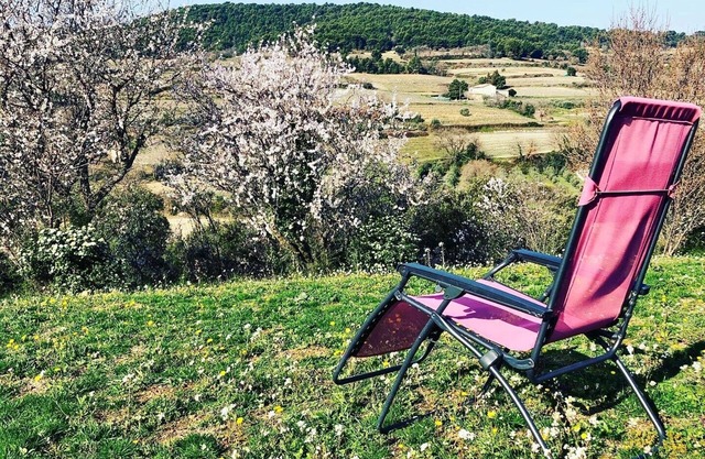 At the foot of the Ventoux VILLA 8/10 persons quiet garden 1500m2 above-ground pool
