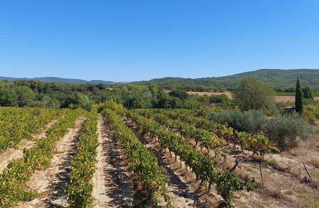 Au Cœur du Luberon Dans une Bâtisse Viticole