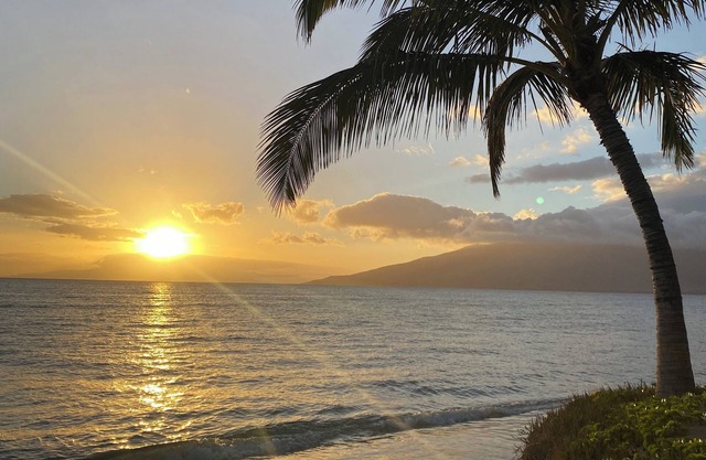 Aug-Nov 2025 Sale! 2BR/1BA BEACHFRONT - GREAT LOCATION- EXCEPTIONAL REVIEWS