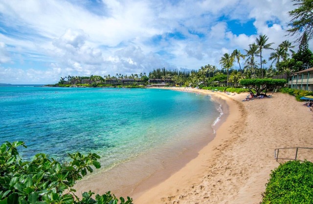 Authentic Hawaii Adventure! 2 Relaxing Units, Pool, Near Whalers Village