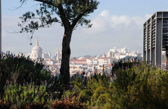 Award-Winning 16Th Cent Historic Apartment @City Downtown