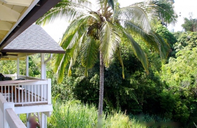 Bamboo View Suite 2bd 1bth At Bamboo Valley Inn
