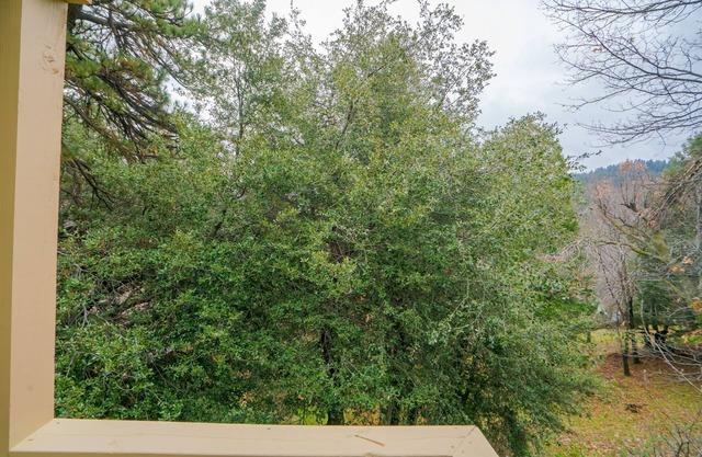 ~BarryBear House~ Mountain lake retreat