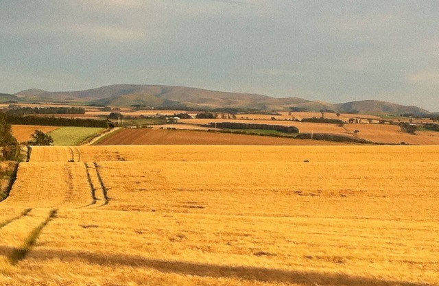 Bartlehill Cottage, Idyllic Pet Friendly Cottage, Beautiful Scottish Borders