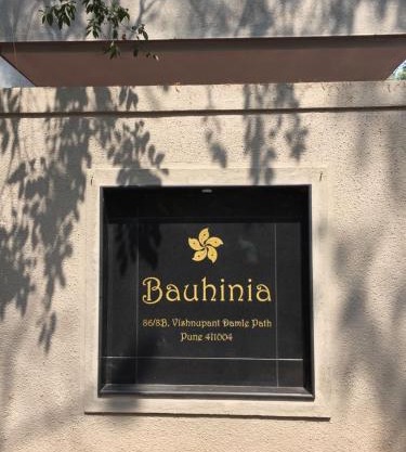 Bauhinia