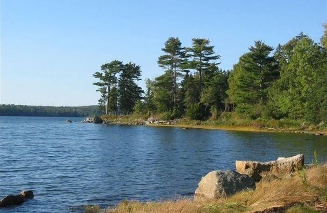 Bayside Shore Front Cottage Near Bar Harbor