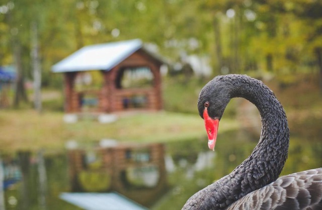 Baza Otdykha Kipyachiy Klyuch