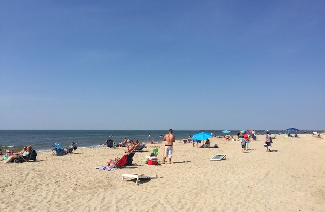 Beach Condo, Walk To The Beach