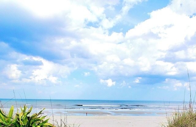 Beach Cottage I, near the beach, TPC Sawgrass, Mayo Clinic, & Ponte Vedra Beach