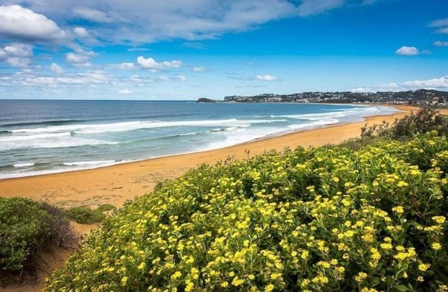 Beach Escape-50m to Wamberal Beach