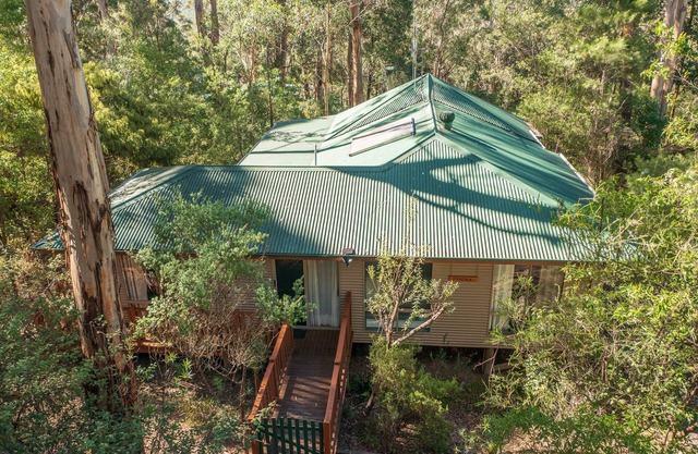 Beach, forest, wineries, town . Family, pet friendly, or romantic interlude.