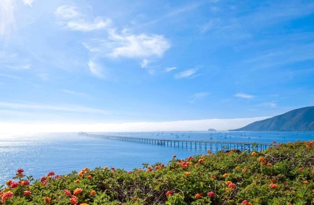 Beach Getaway Near Old Port Beach! 2 Cozy Units w/Full Kitchen, & Onsite Pool!