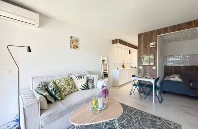 Beach studio in Golfe-Juan with sea view, parking near Cannes, Antibes