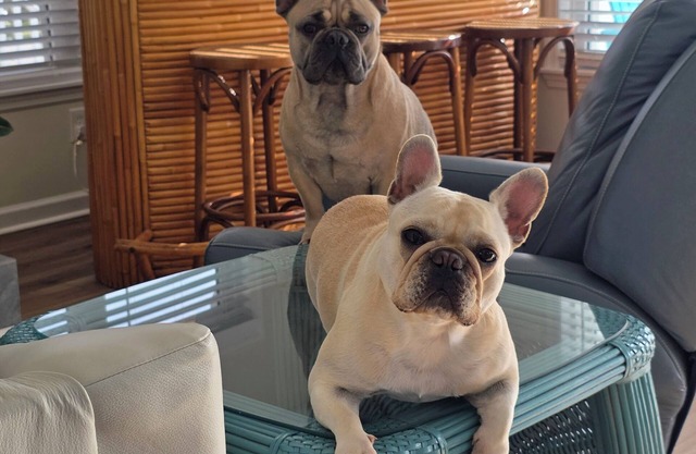 "Beach Sweet" Slightly over a block to Ocean! Short walk to Restaurants & Pier