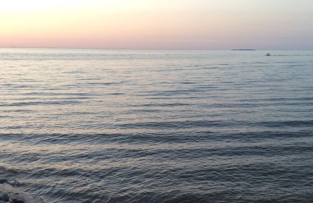 Beach View Retreat: Great for fishing, birders, family vacation, Davis B