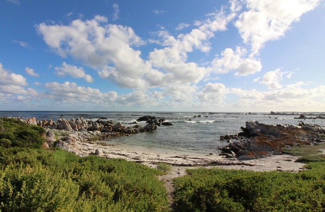 Beachbreeze in Bettys Bay
