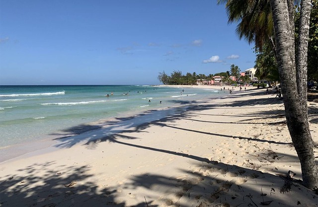 Beachfront apartment in Paradise: Turtles Nest D