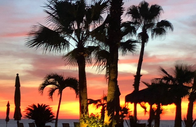 Beachfront Cabo in San Jose Del Cabo!