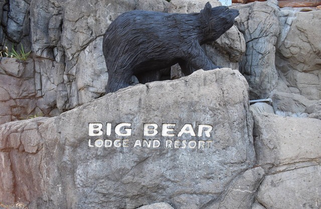 Bear Elegance in the Heart of Pigeon Forge