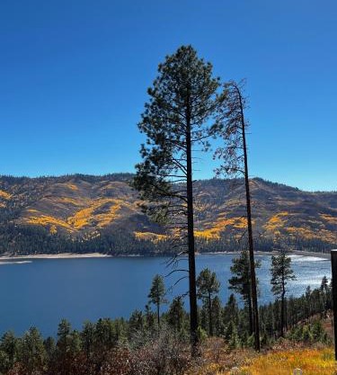 Bear Paw Lodge & Vacation Homes