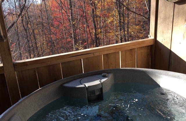 Bearidise Hot Tub, Fireplace, Near Asheville, View, Fire Pit, WiFi, Pet Friendly