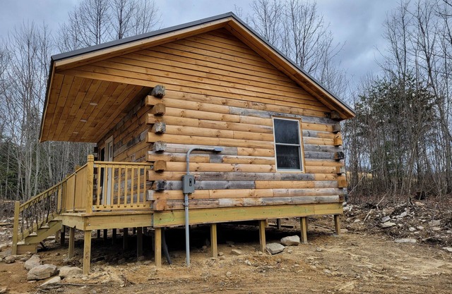 Beary Cozy Cabin