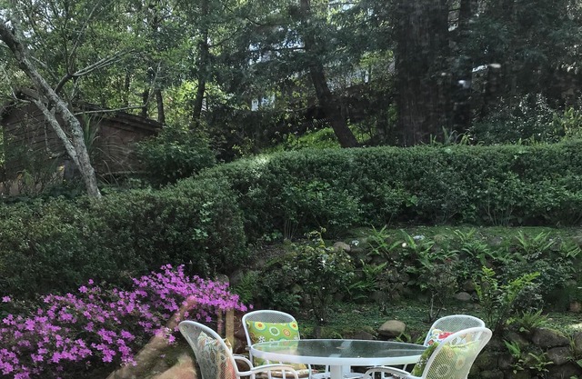 Beautiful 2-bedroom Private Cottage, Close To Woods And City!