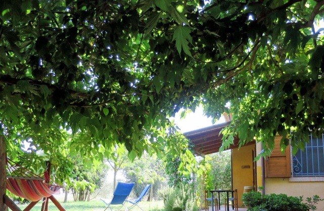 Beautiful apartment in villa for 4 guests with pool, WIFI, TV, terrace, pets allowed and parking
