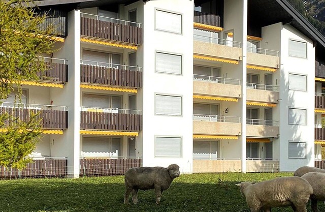 Beautiful apartment for 6 people with WIFI, TV and balcony