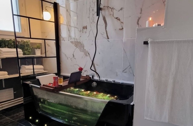 Beautiful apartment in Tours center, panoramic view of the city.