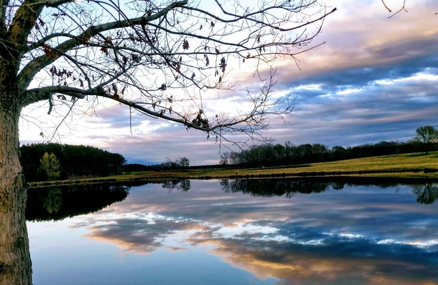 Beautiful Cabin with scenic views for Corporate Events & Family Vacations