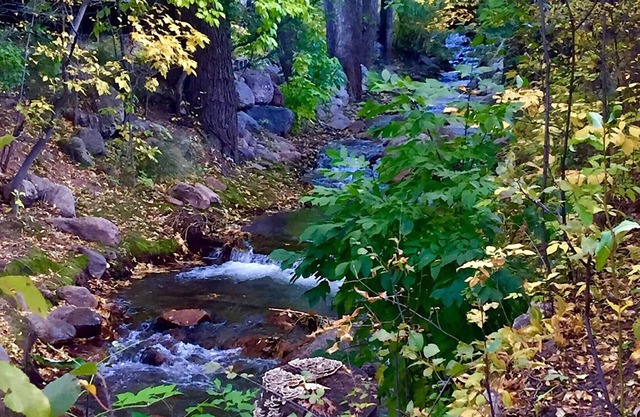 Beautiful deck DIRECTLY on CREEK! * CENTRAL AIR * Walk to the Broadmoor