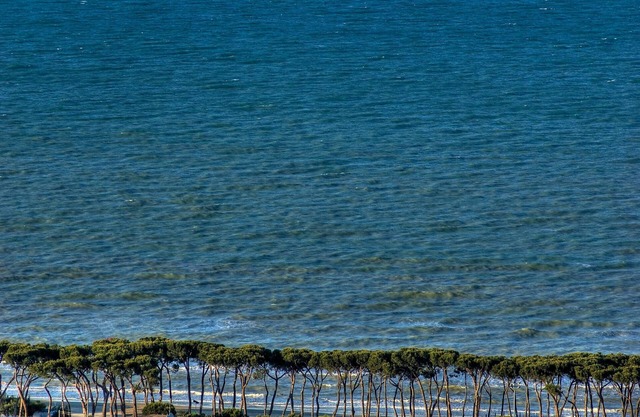 beautiful ground floor 20 meters from the sea and pine forest