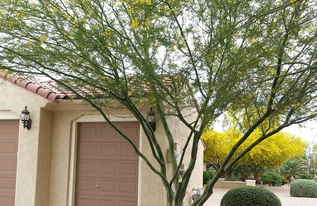 Beautiful Home located in Anthem at Merrill Ranch