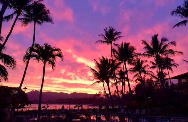 Beautiful Lae Nani Unit 112 Oceanfront One Bedroom Condo Coconut Coast Wailua.