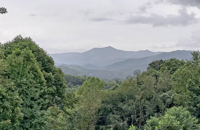 Beautiful Smoky Mountain Home 2/2 BB Incredible View!