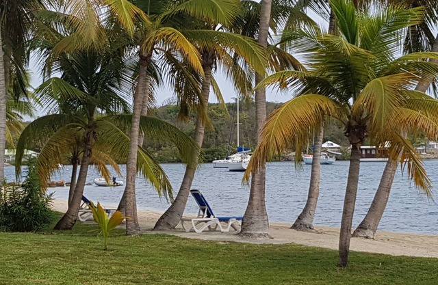 Beautiful studio in the heart of Saint Martin