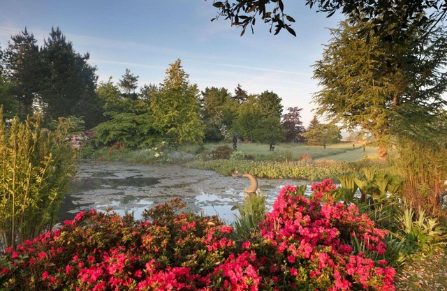 Beautiful villa for 6 guests with pool, WIFI